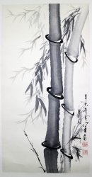 冯其庸69.4*138.5镜片5000元