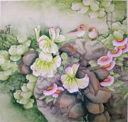 顾仁源 50*49花鸟4000元