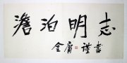 金庸69.5*33镜片3500元