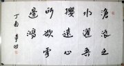 甲平凹138*69.5镜片4500元（带证书信封）