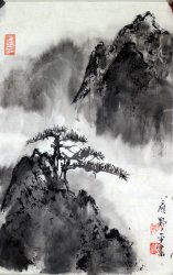 应野平14.9*23.3软片800元