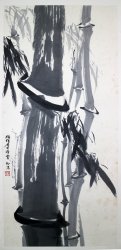 印光57*123镜片3800元