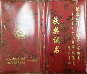 1993年吴月霖在毛泽东诞辰100周年中华当代文化精粹博览会大奖赛中荣获佳作奖