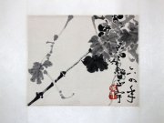 张正宇27*22镜片2000元