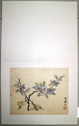 梅兰芳31.3*25.7册页7开8500元唐云收藏印
