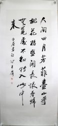 冯其庸60.4*137.4镜片5000元